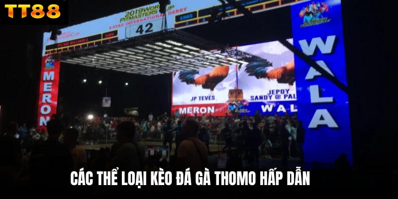 Các thể loại kèo đá gà thomo hấp dẫn