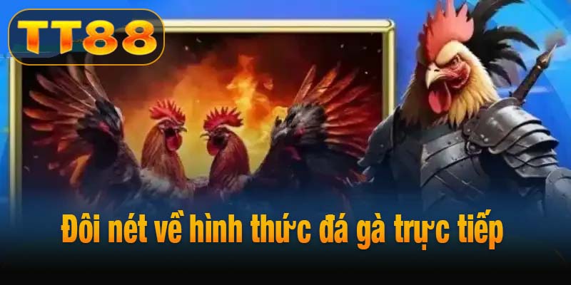 Đôi nét về hình thức đá gà trực tiếp 