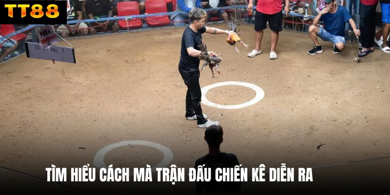 Tìm hiểu cách mà trận đấu chiến kê diễn ra 